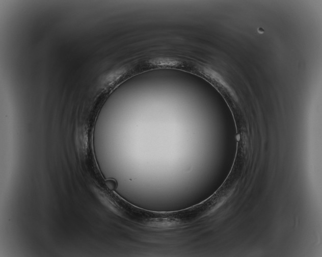 X0000085790541200703231310