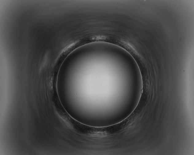 X0000085790543200703231310
