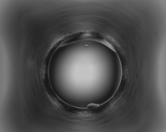 X0000085790544200703231310