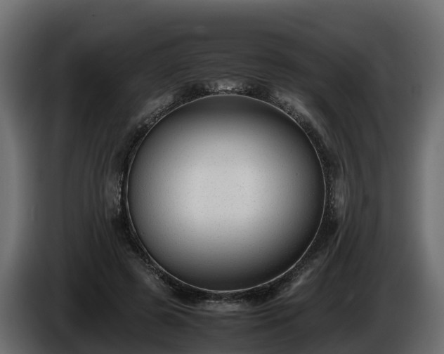 X0000085790545200703231310