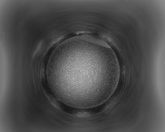 X0000085790547200703231310