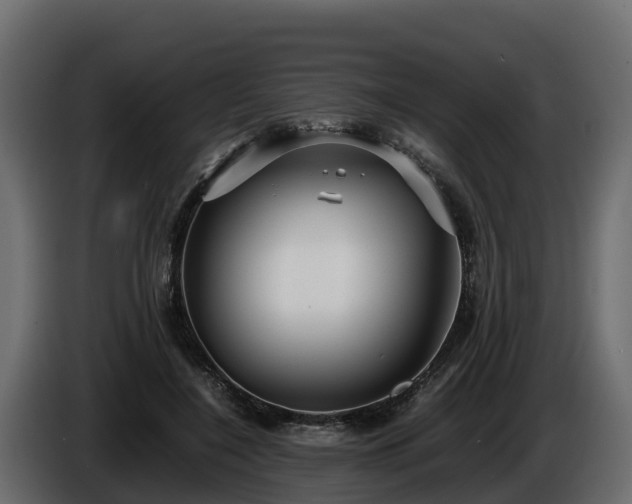 X0000085790548200703231310