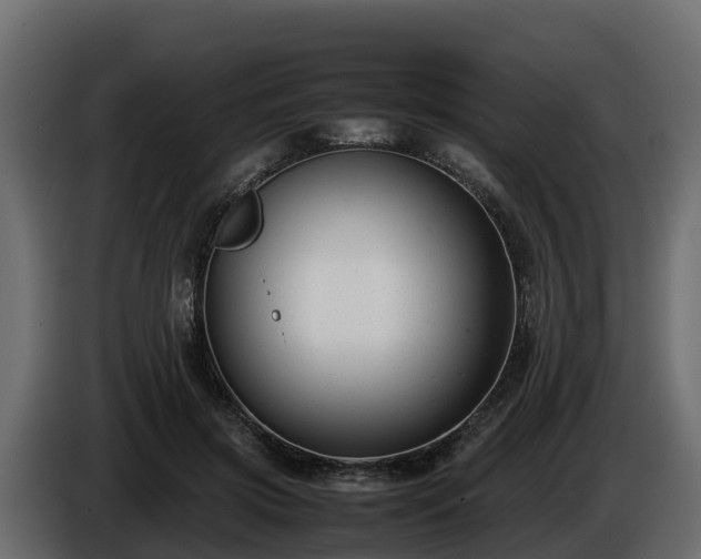 X0000085790549200703231310