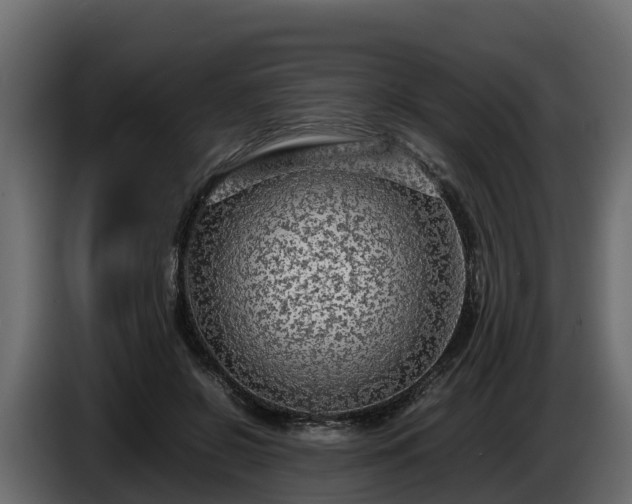X0000085790550200703231310