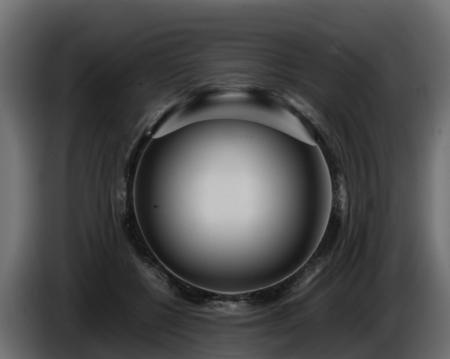 X0000085790552200703231310