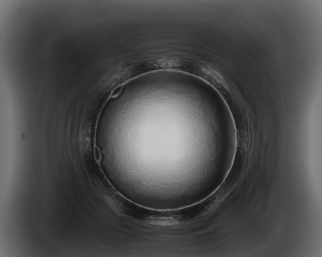 X0000085790553200703231310