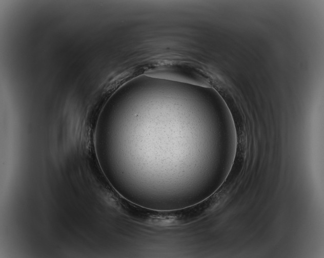 X0000085790554200703231310