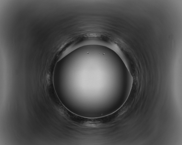 X0000085790556200703231310