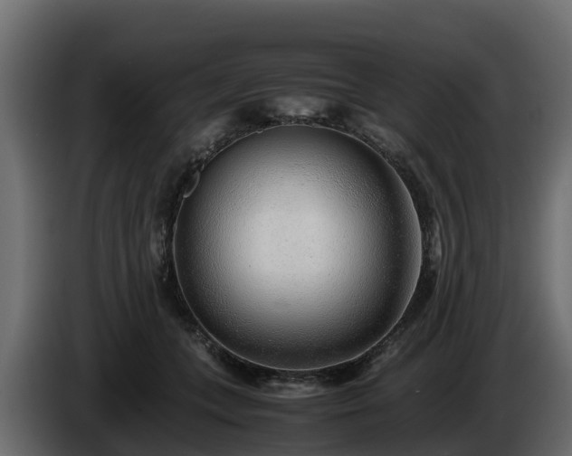 X0000085790559200703231310