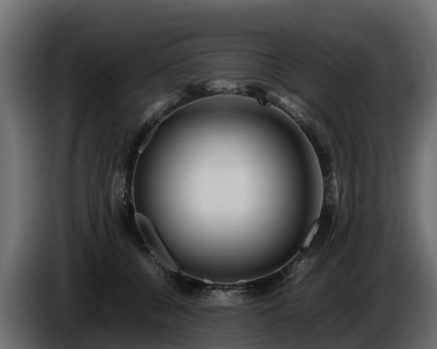 X0000085790560200703231310