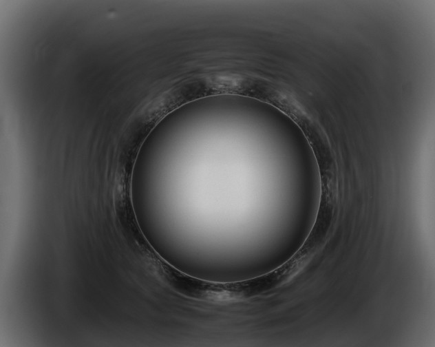 X0000085790561200703231310