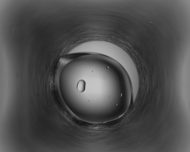 X0000085790564200703231310