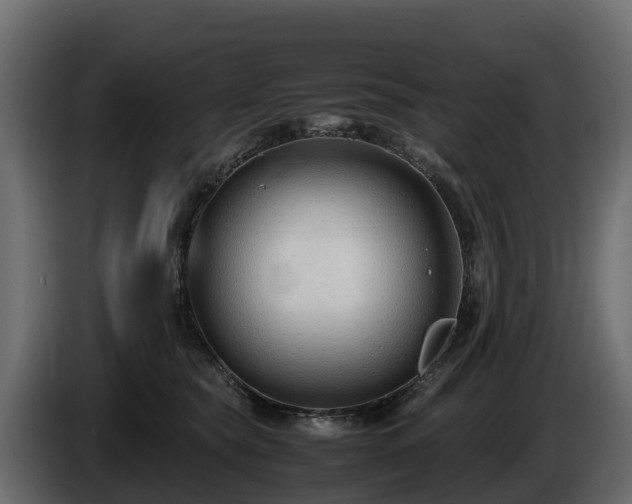 X0000085790565200703231310