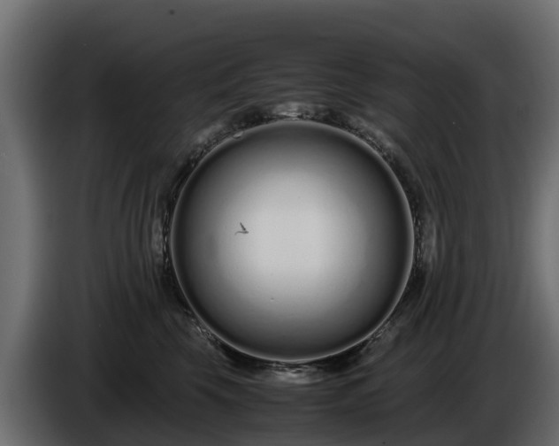 X0000085790569200703231310