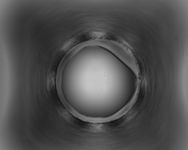 X0000085790570200703231310