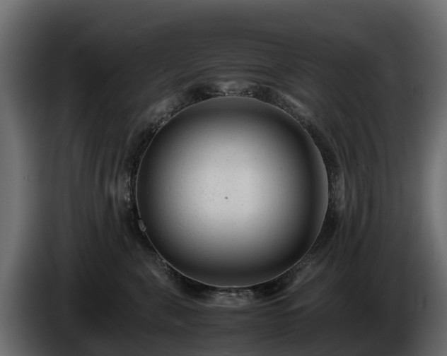 X0000085790571200703231310