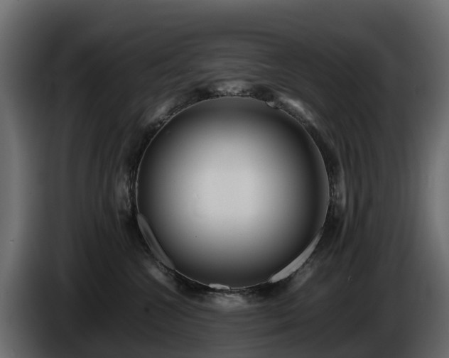 X0000085790572200703231310