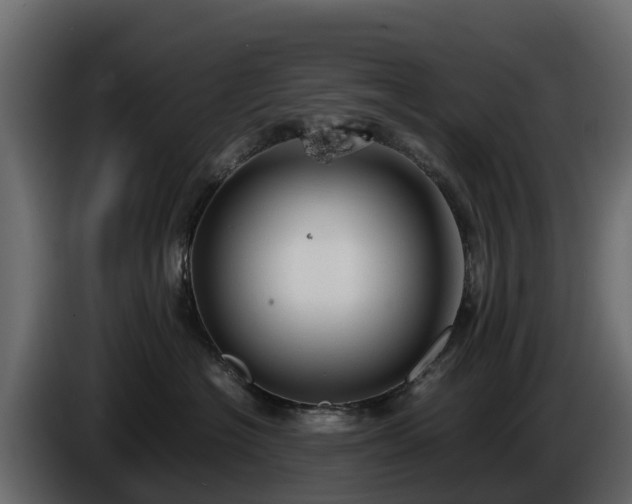 X0000085790574200703231310
