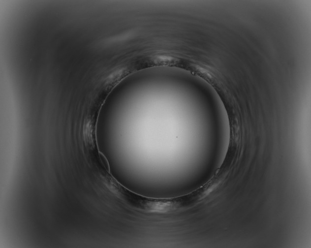 X0000085790575200703231310