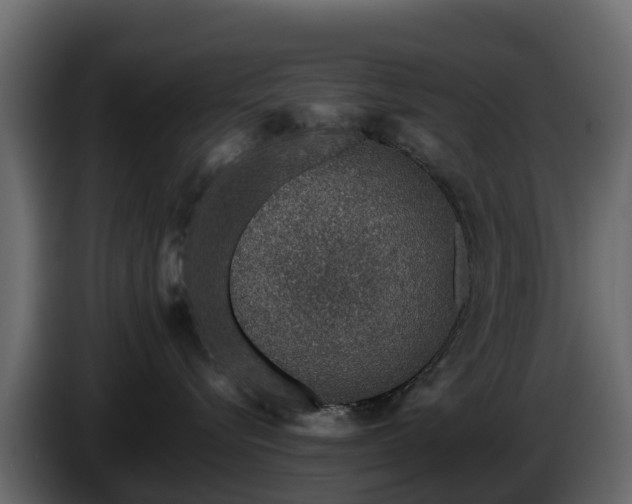 X0000085790576200703231310