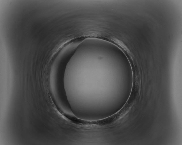X0000085790577200703231310