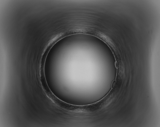 X0000085790578200703231310