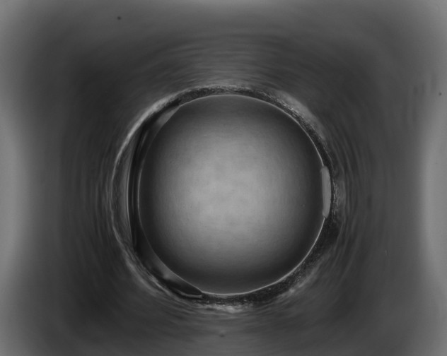 X0000085790580200703231310