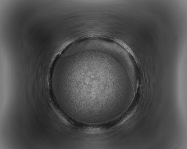 X0000085790581200703231310