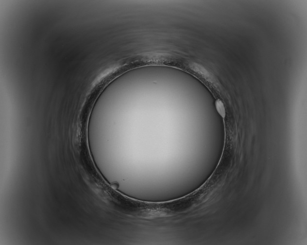 X0000085790583200703231310