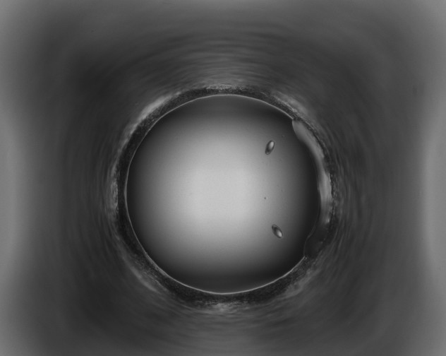 X0000085790584200703231310