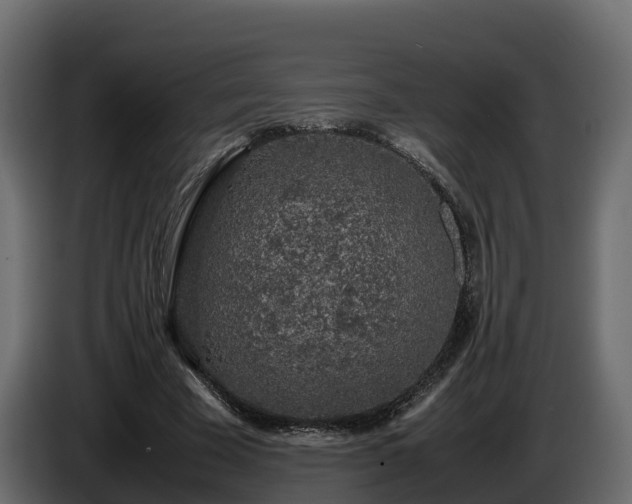 X0000085790585200703231310