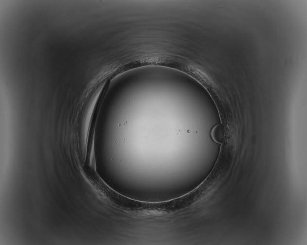 X0000085790586200703231310