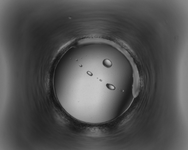 X0000085790588200703231310