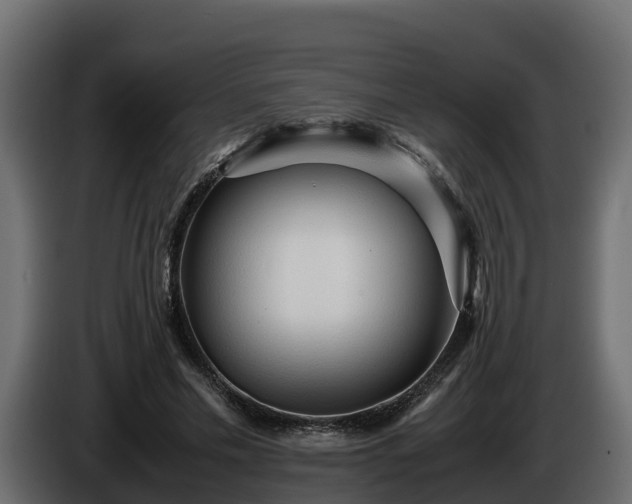 X0000085790589200703231310