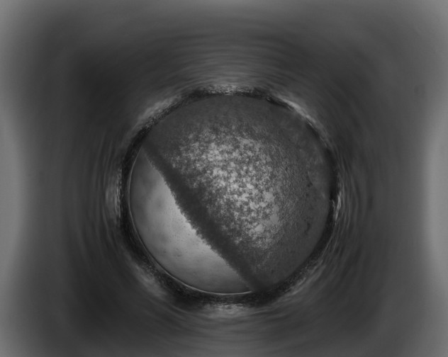 X0000085790590200703231310
