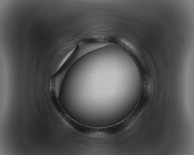 X0000085790593200703231309