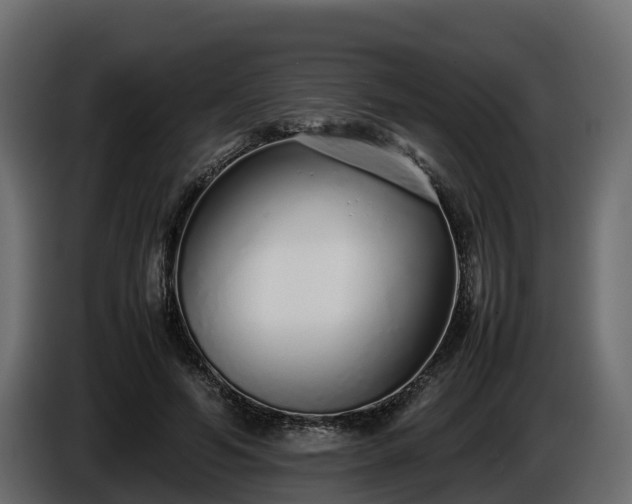 X0000085790594200703231309