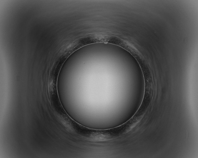 X0000085790597200703231309