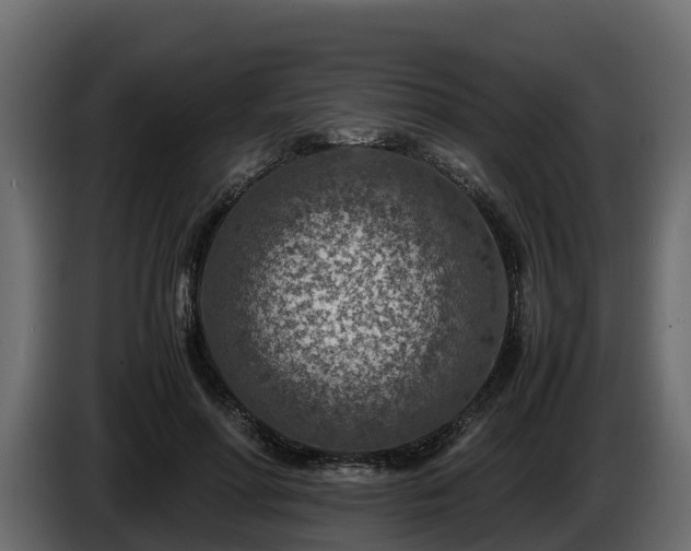 X0000085790598200703231309