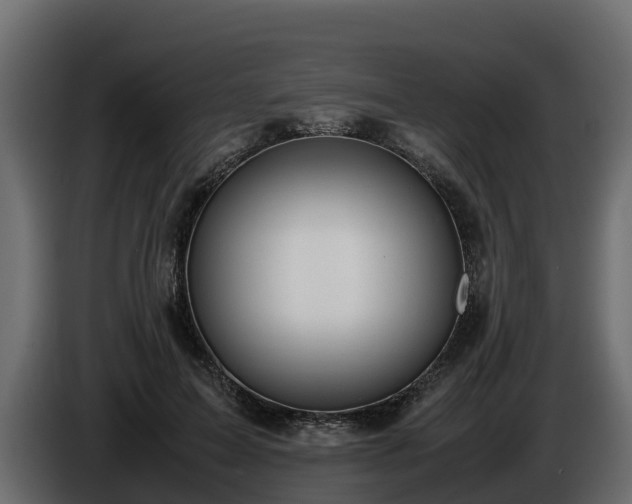 X0000085790599200703231309