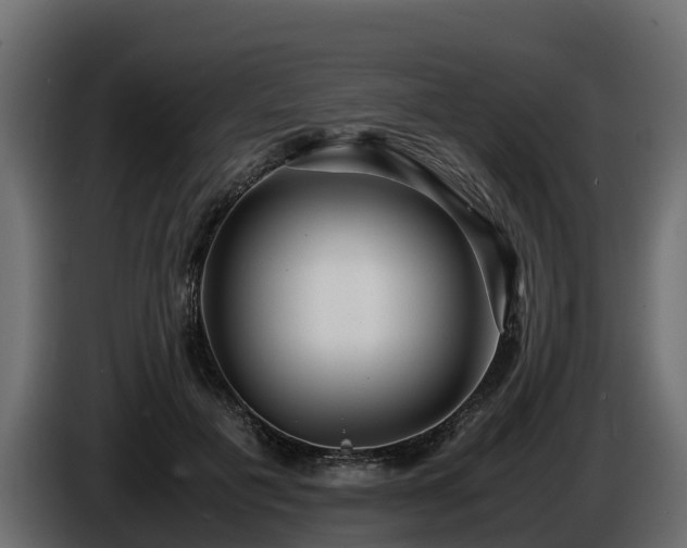 X0000085790601200703231309