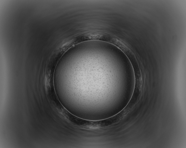 X0000085790604200703231309