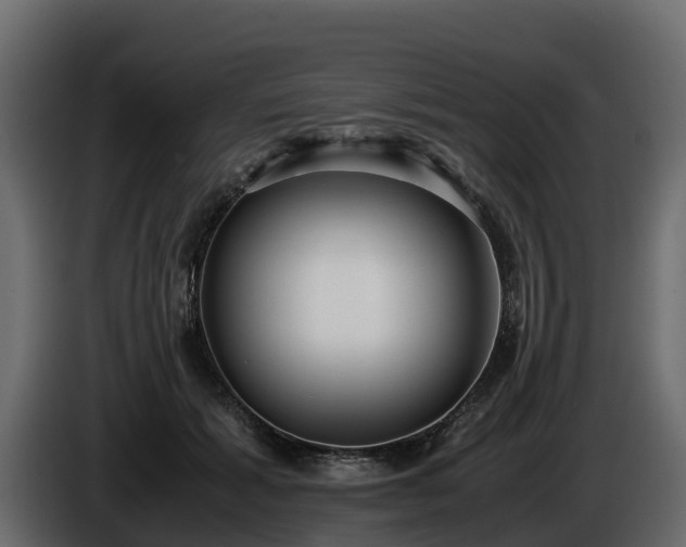 X0000085790605200703231309