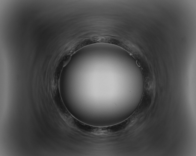 X0000085790607200703231309