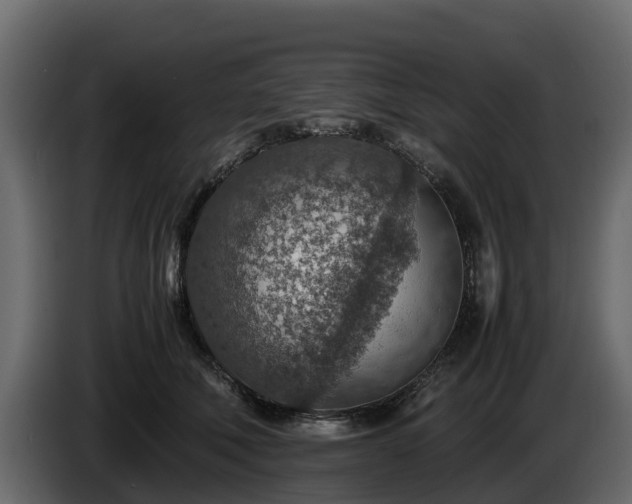 X0000085790610200703231309