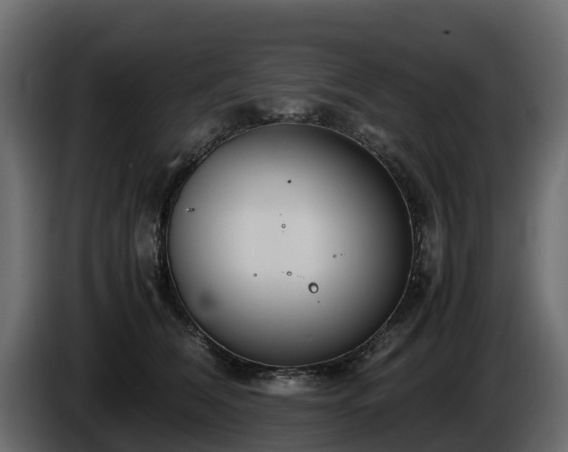 X0000085790612200703231309