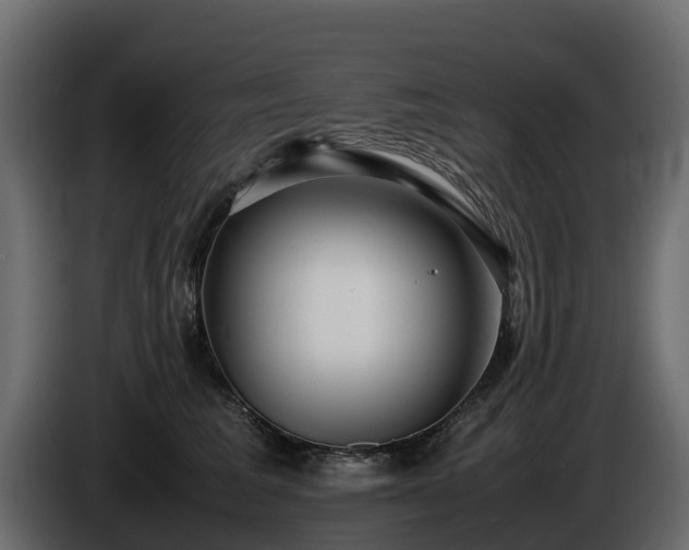 X0000085790613200703231309