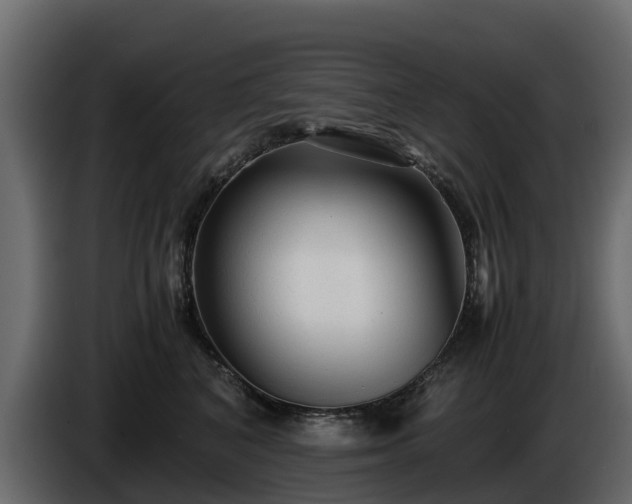 X0000085790616200703231309