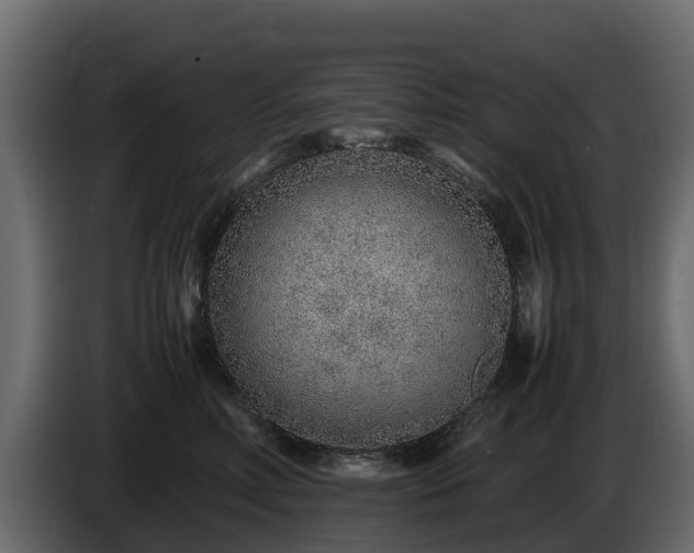 X0000085790618200703231309