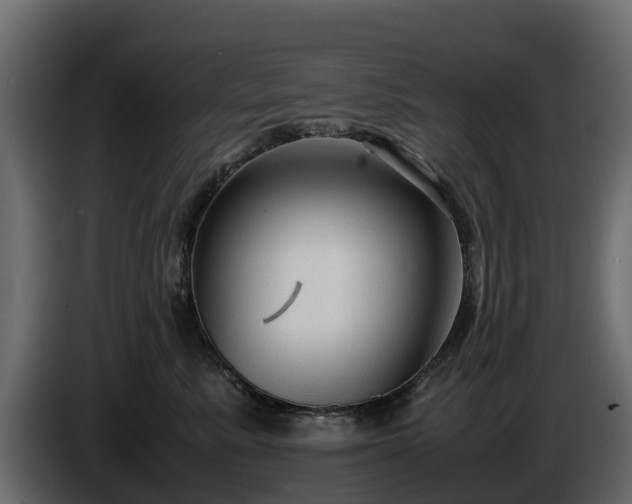 X0000085790619200703231309